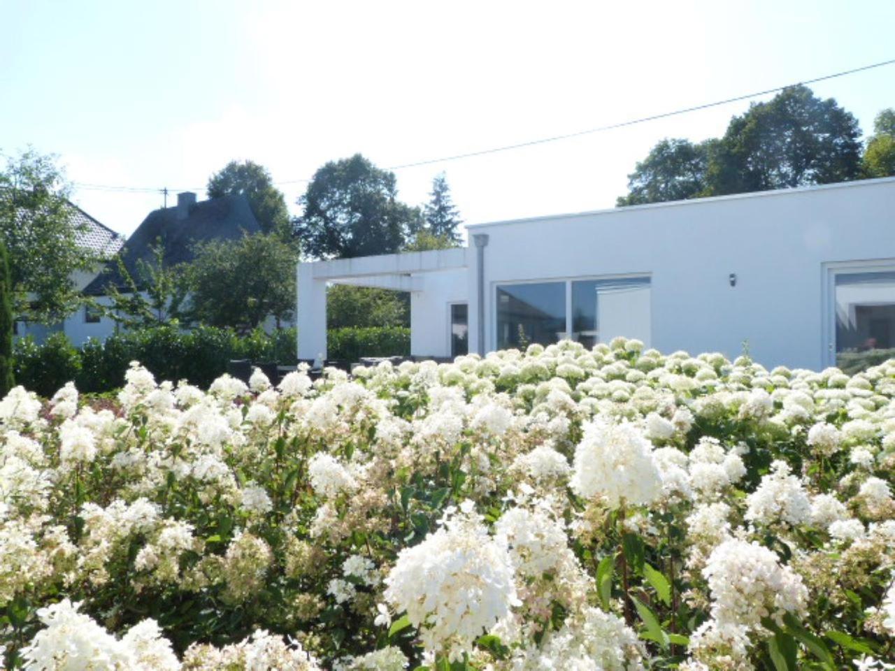 Villa Mosel Morbach Extérieur photo